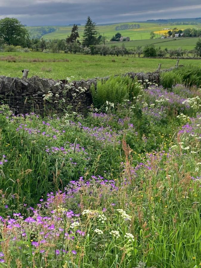 Hotspur House Bed and Breakfast Allendale Esterno foto