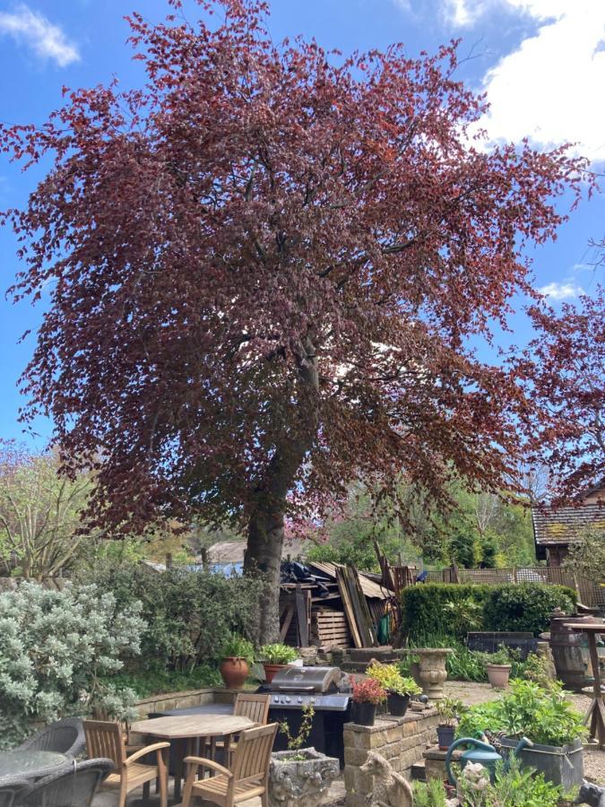 Bed and Breakfast Hotspur House Allendale Esterno foto